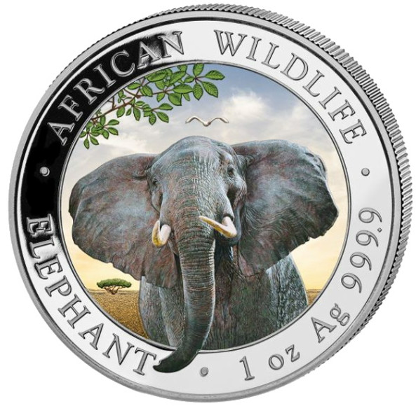 2021 ELEPHANT African Wildlife Coin 1 oz Silver Color coin Somalia