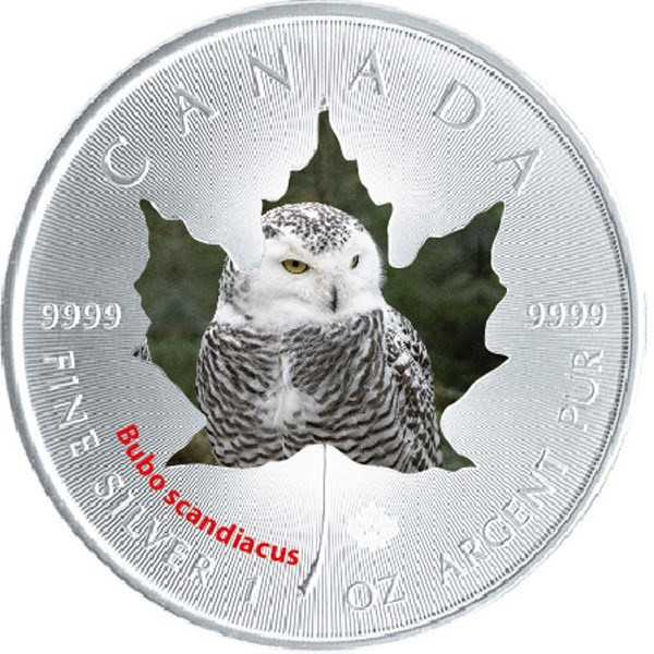 1 oz Maple Leaf Snowy Owl Theme ~ Silver .9999 $5 Canada 2015