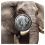 ELEPHANT BIG FIVE II. 5 Rand 1 oz Silver - South Africa 2021