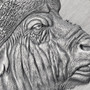 BUFFALO Expressions of Wildlife 2 oz Silver Coin Cameroon 2022 
