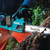 Makita DUC353PT2 36V Brushless Chainsaw 35cm with 2 x 5.0Ah Batteries & Charger - MonkeyTools