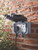 BRITISH GENERAL IP66 13A 1-GANG DP WEATHERPROOF OUTDOOR SWITCHED SOCKET - MonkeyTools