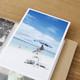 Recambio funda A4 para fotos