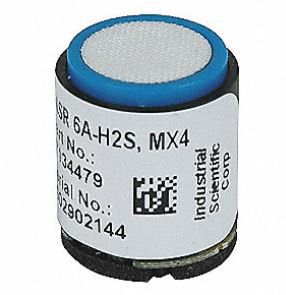 Hydrogen sulfide (H2S)