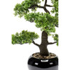 Emerald umjetni fikus mini bonsai zeleni 47 cm 420006 414506