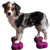 FitPAWS platforma za ravnotežu Mini K9FITbone 2 kom 29 x 16,5 x 6 cm 433822