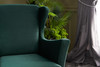 Wing Chair Lola Berjer - Zelena