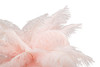 Stolna Lampa Palm Pink Cm Ø 40x55