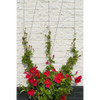 419738 Nature Wire Trellis Set for Climbing Plants 6040760