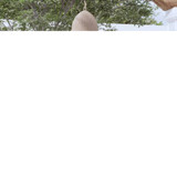 3-dijelni vrtni blagovaonski set crni 3099275