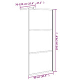 Pregrada za tuš 90 x 195 cm s mutnim staklom ESG crna 151877