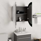 Kupaonski ormarić s okruglim ogledalom LED Siva 54x54x17,5 cm 345589 Kupaonski ormarić s okruglim ogledalom LED Siva 54x54x17,5 cm 345589