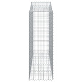 Lučne gabionske košare 30 kom 200 x 50 x 140/160 cm željezne 3145699