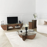 Hanah Home TV stalak Ljiljan - orah 