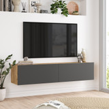 TV jedinica FR10-AA