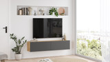 TV jedinica FR10-AA
