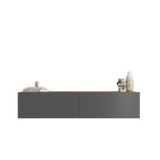 TV jedinica FR10-AA