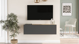 TV jedinica FR12-AA
