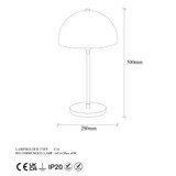 Stolna lampa Varzan - 10857