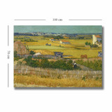 Dekorativno slikarstvo na platnu 70100VANGOGH044