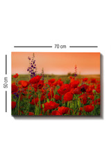 Dekorativno slikarstvo na platnu Kanvas Tablo (50 x 70) - 1