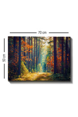 Dekorativno slikarstvo na platnu Kanvas Tablo (50 x 70) - 274