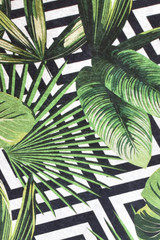 Tepih (80 x 200) Tropic Djt