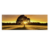 Ukrasna slika na platnu s LED osvjetljenjem 3090DACT-68 a.g