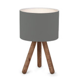Stolna lampa AYD-2941   a.g