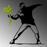Dekorativni zidni pribor Moss - Flower Gang