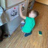 Ploča za suho brisanje 60x90cm Maaleo 24326