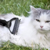 Trimer/češalj za kosu Purlov 20427