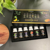 Eterično ulje - set od 6 kom. 10 ml Ruhhy 21939