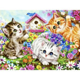 Slikanje po brojevima 40x50cm - Maaleo mačke 22781 Slikanje po brojevima 40x50cm - Maaleo mačke 22781