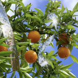 Odbojnik ptica - 80m traka Repest 21041