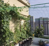 Mreža - nosač za biljke 2x20m Gardlov 23980