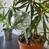 Kuglice za navodnjavanje - 8 kom. Gardlov 21043