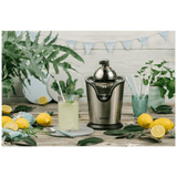 Gorenje Citruseta, 100 W - CJ100HE