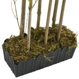 Umjetno stablo bambusa 828 listova 150 cm zeleno