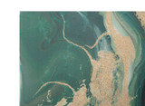 Zidna Boja Greenery Cm 80x2,8x100