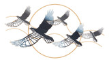 Željezni Zidni Panel Bird Cm 91x7x50