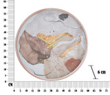 Zidni Sat Art Pink Cm Ø 60x6