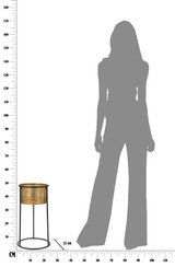 Držač Za Cvijeće Simply Cm Ø 25x50