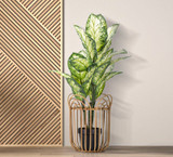 Nosač Vaze Panama Cm Ø 31,5x40