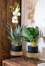 Držač Za Vaze Bossy Set 2 Kom Cm Ø 20,5x13-18x13