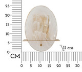 Zidna Svjetilka Portlan Cm 20x11x25