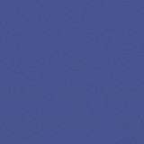 Uvlačiva bočna tenda 160 x 600 cm plava 4004626