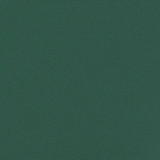 Uvlačiva bočna tenda 100 x 600 cm tamnozelena 4004590