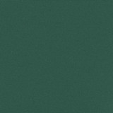 Uvlačiva bočna tenda tamnozelena 117 x 300 cm 4004290