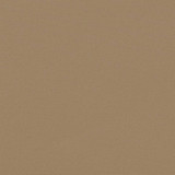 Uvlačiva bočna tenda smeđesiva 170 x 300 cm 4004334